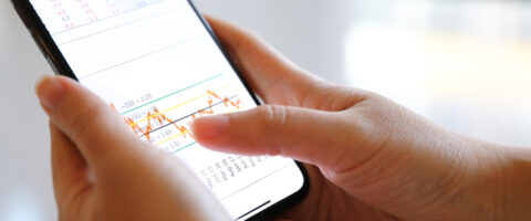 uso do aplicativo de gestão empresarial no celular